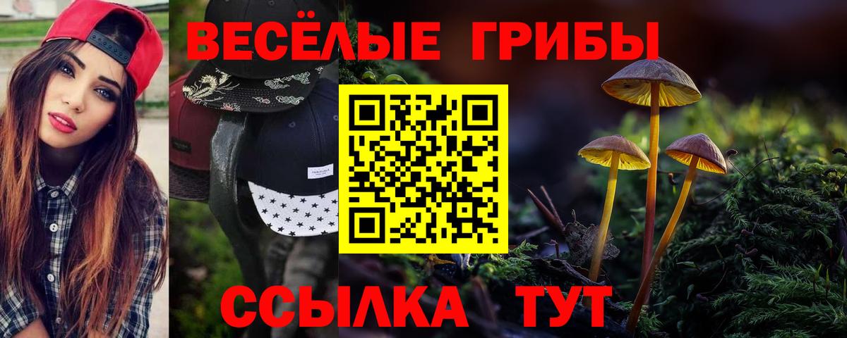 Псилоцибиновые грибы мицелий Волоколамск