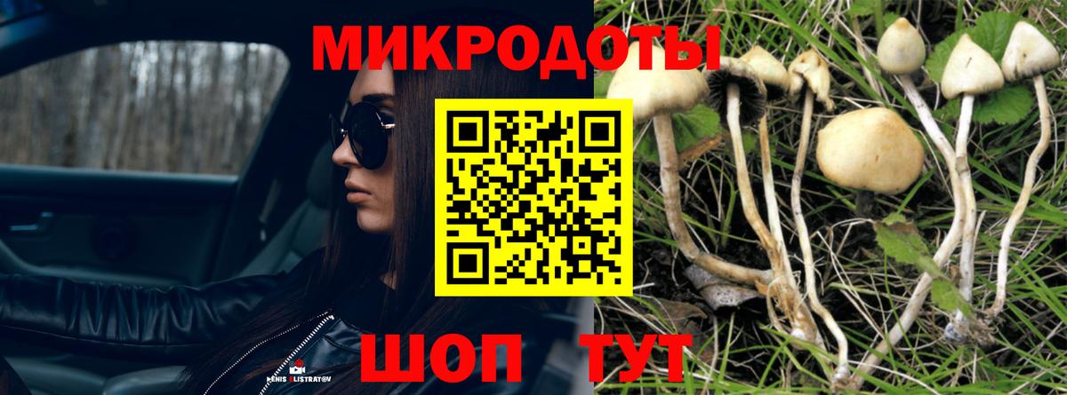 Псилоцибиновые грибы прущие грибы  Псилоцибиновые грибы Psilocybine cubensis  Волоколамск  Вход с VPN 
